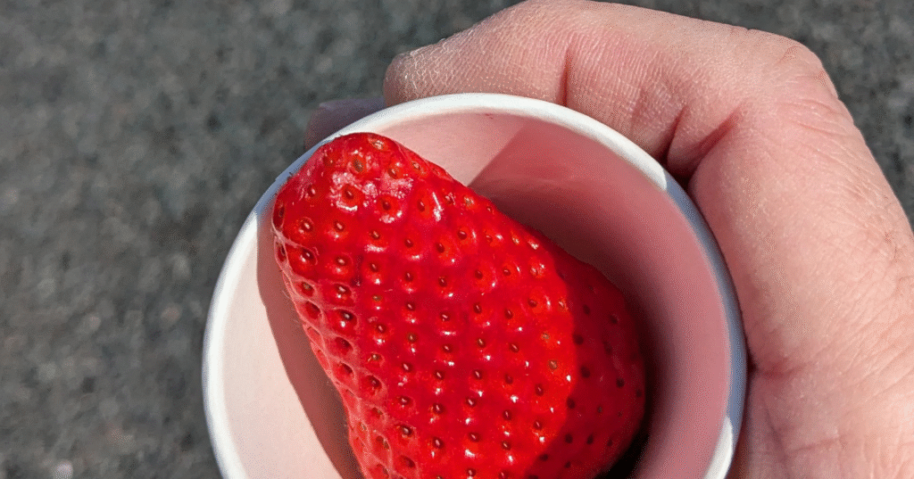 エイドの給食で食べた、静岡いちご。