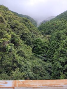 山の上からの景色
