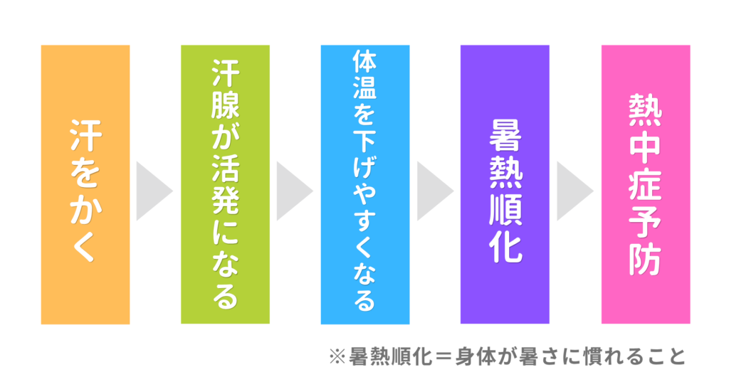 暑熱順化とは