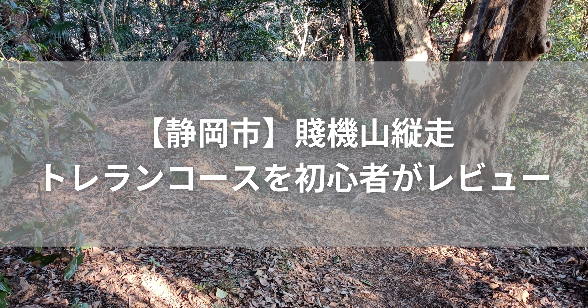 【賤機山縦走トレラン完全ガイド】静岡市で手軽に絶景を楽しめる初心者向けコースを実走レビュー